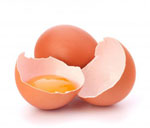 Egg Protein ist eine hochwertige tierische Eiweißquelle (Quelle: Shutterstock/Nattika)