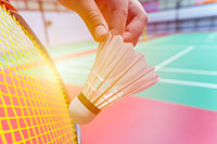 Badmintonball
