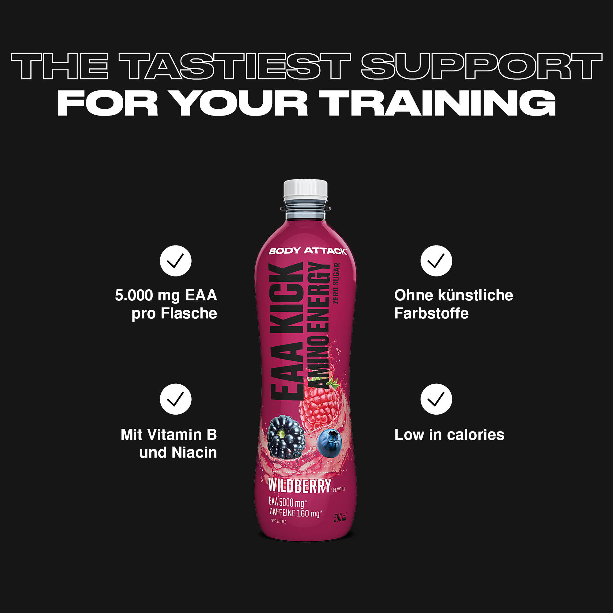 Body Attack EAA Kick Informationsgrafik