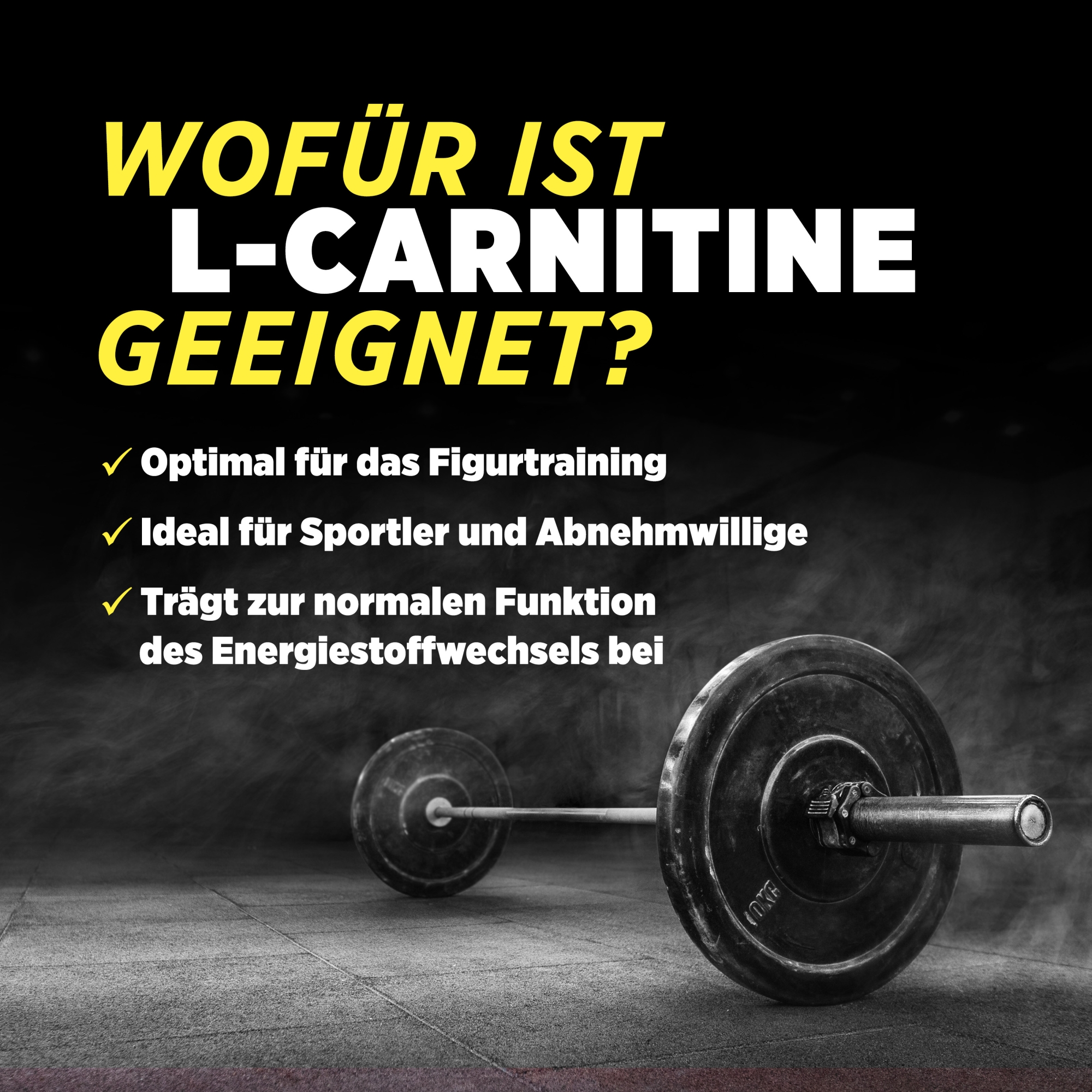 L Carnitine 2000 Liquid