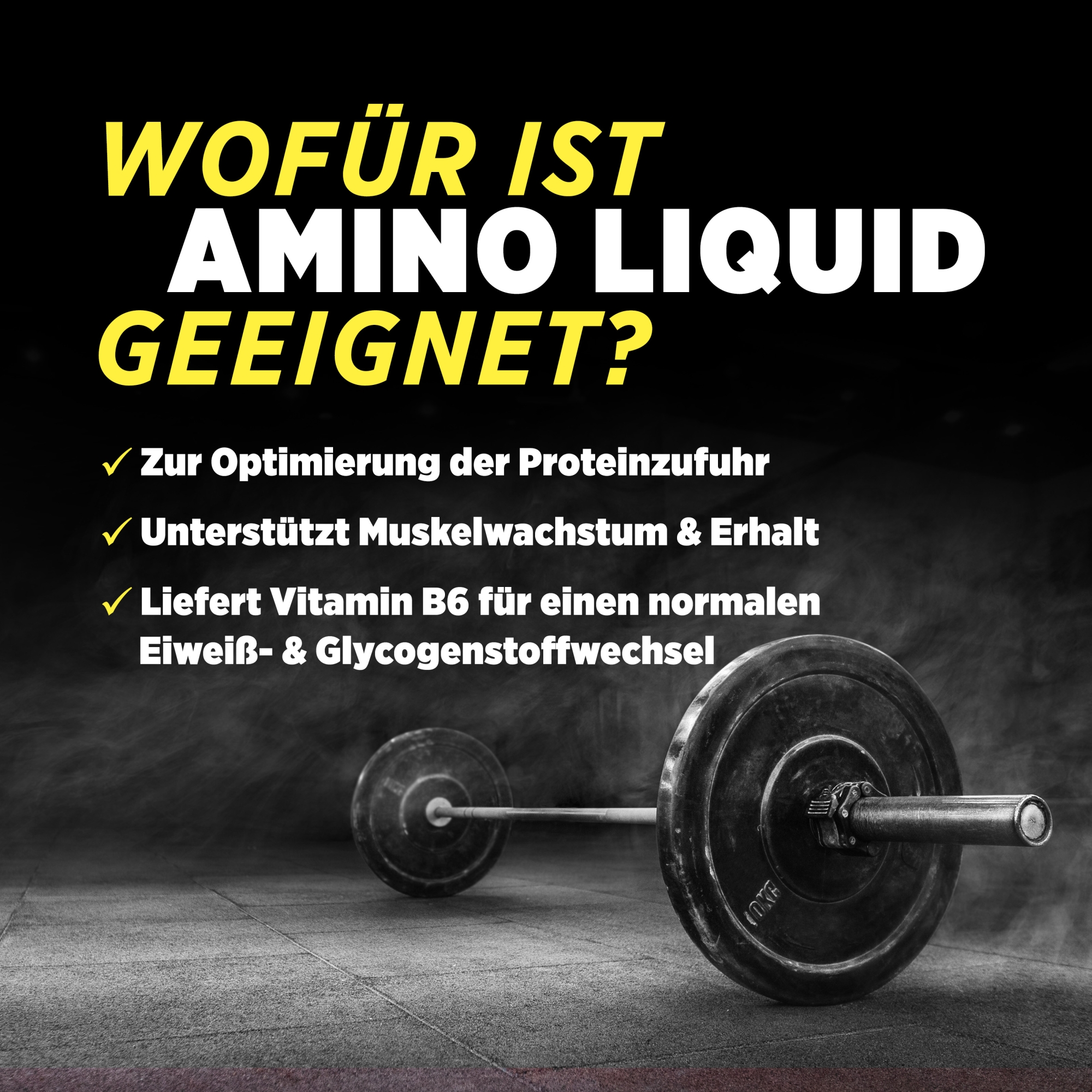 Power Amino Liquid